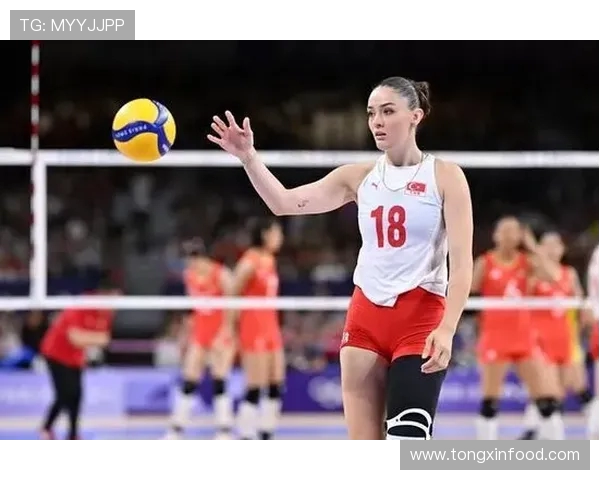 张丽独家分享排球心得与技巧助你提升球技与比赛表现