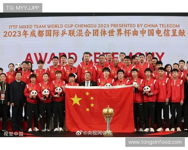 成都乒乓球队团队协作能力显著提升创新高引发广泛关注与赞誉